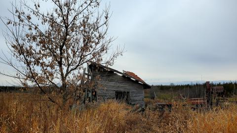 Sinkhole House - 20211120_112619.jpg
