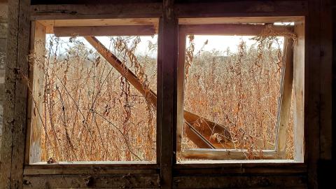 Sinkhole House - 20211120_112156.jpg