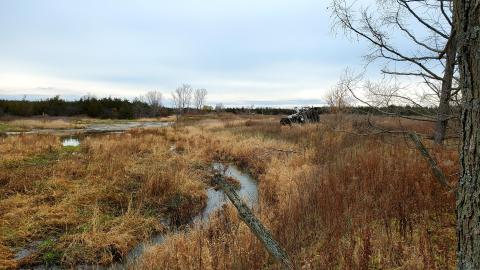Sinkhole House - 20211120_111633.jpg