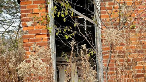 Sinkhole House - 20211120_111448.jpg