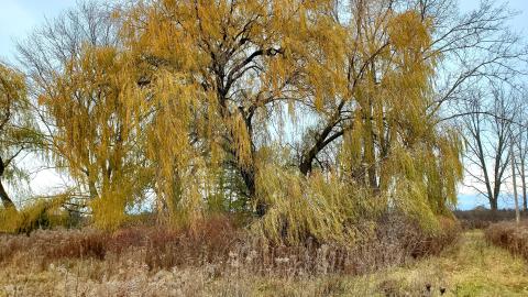 Photo from Sinkhole House