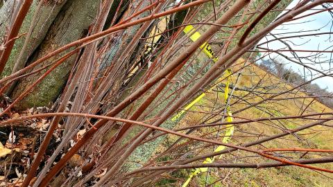 Sinkhole House - 20211120_110856.jpg