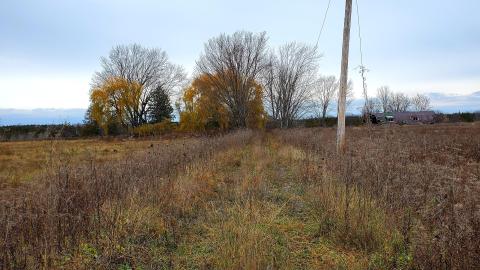 Sinkhole House - 20211120_110758.jpg