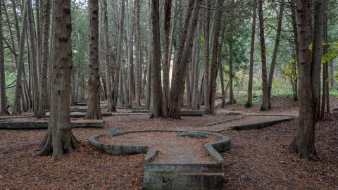 Photo from The Ruins