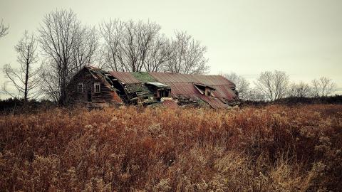 Sinkhole House - aviary-image-1637458188533.jpeg