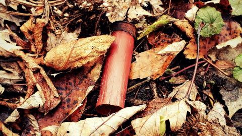 Sinkhole House - aviary-image-1637458107118.jpeg