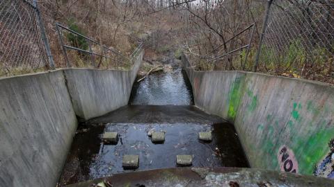 No Raining, So I Went Draining! - IMG_8893.JPG