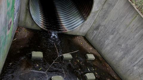 No Raining, So I Went Draining! - IMG_8895.JPG