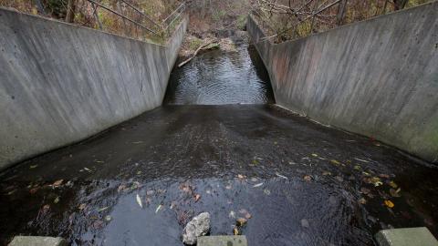 No Raining, So I Went Draining! - IMG_8896.JPG