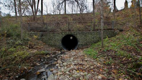 No Raining, So I Went Draining! - IMG_8902.JPG