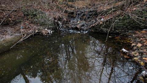 No Raining, So I Went Draining! - IMG_8905.JPG