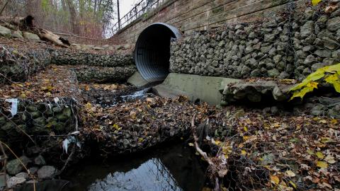 No Raining, So I Went Draining! - IMG_8908.JPG