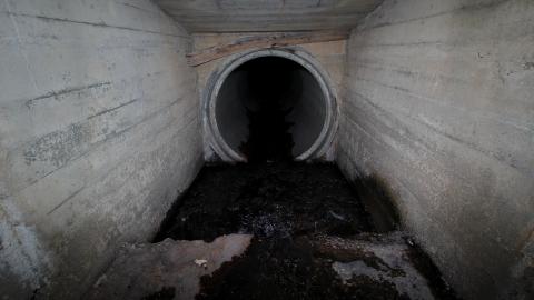 No Raining, So I Went Draining! - IMG_8946.JPG