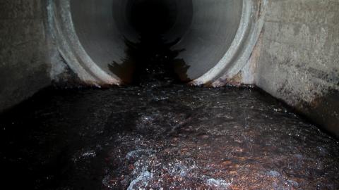 No Raining, So I Went Draining! - IMG_8952.JPG