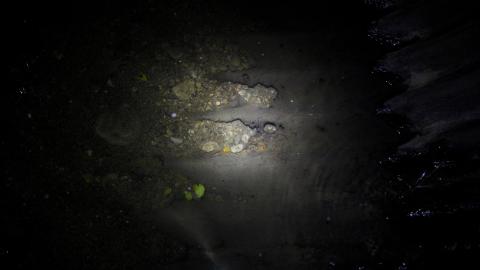 No Raining, So I Went Draining! - IMG_8984.JPG