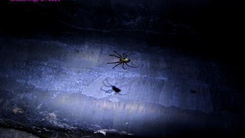 No Raining, So I Went Draining! - IMG_8990.JPG