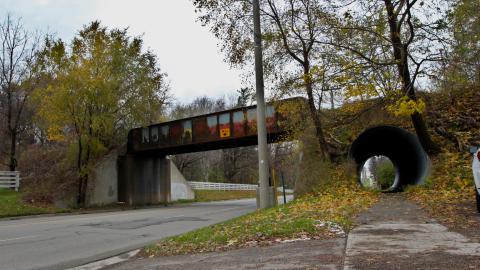 Now Im a fan4life - IMG_8831.JPG