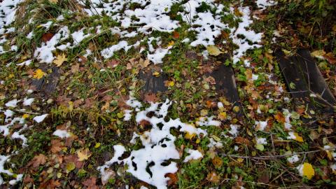 Now Im a fan4life - IMG_8834.JPG