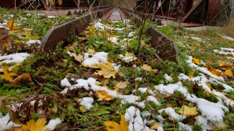 Now Im a fan4life - IMG_8835.JPG