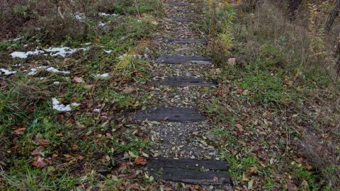 Now Im a fan4life - IMG_8843.JPG