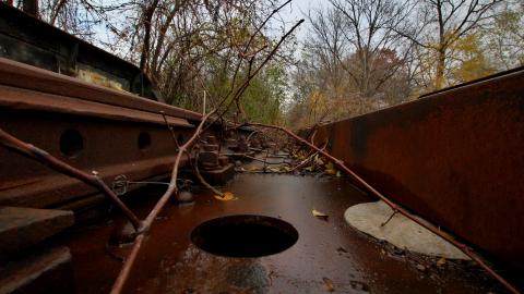 Now Im a fan4life - IMG_8850.JPG