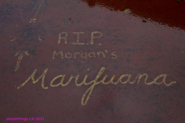 Wellington St Former Canadian National Railway Bridge photo 3