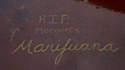 Wellington St Former Canadian National Railway Bridge photo 3