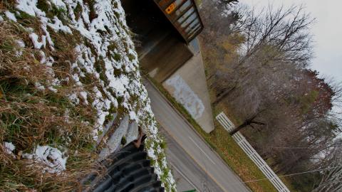 Now Im a fan4life - IMG_8860.JPG