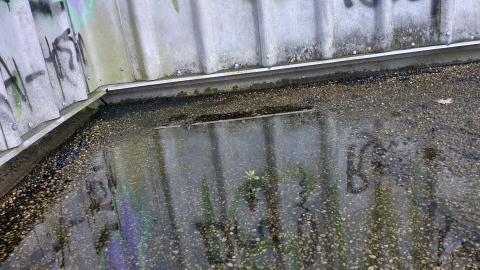 October 2021 - my very first outing - IMG_20211024_122906578_HDR.jpg