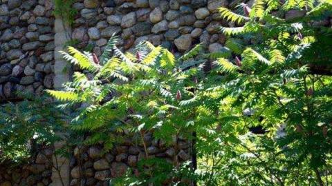 Photo from Granite Castle