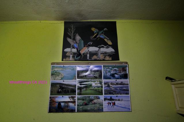 Efflorescence photo 5