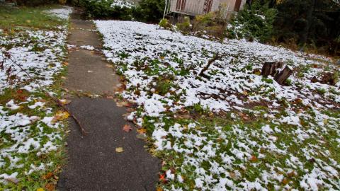 [EF] + [LUH] + [RES] + [UHNS] - Say It Out Loud - IMG_8827.JPG