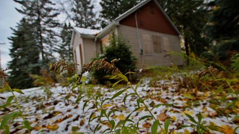 [EF] + [LUH] + [RES] + [UHNS] - Say It Out Loud - IMG_8829.JPG