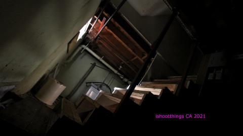 [EF] + [LUH] + [RES] + [UHNS] - Say It Out Loud - IMG_8766.JPG