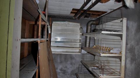 [EF] + [LUH] + [RES] + [UHNS] - Say It Out Loud - IMG_8768.JPG