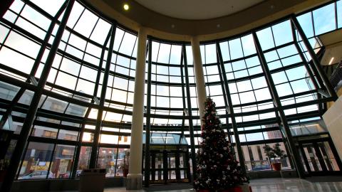 The Definition Of..... - IMG_9222.JPG