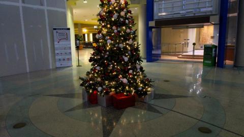 The Definition Of..... - IMG_9283.JPG