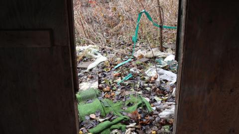 So much fruit everywhere - IMG_0441.JPG