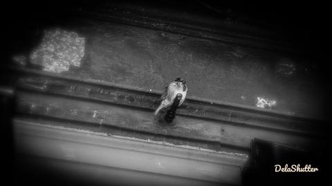 niagara falls apart - Add Watermark_2021_11_06_10_51_24 (40).jpg