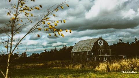 niagara falls apart - Add Watermark_2021_11_06_11_00_21 (41).jpg
