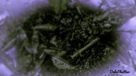 Photo from post office / customs house/old police station