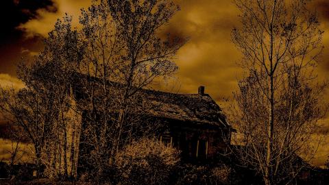 NO church on sunday or ever!!!!!! - Add Watermark_2021_11_06_11_00_21 (25).jpg