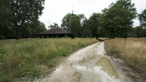 Amusement Park - July 2016 - 20.jpg