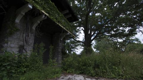 Amusement Park - July 2016 - 44.jpg