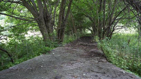 Amusement Park - July 2016 - 47.jpg