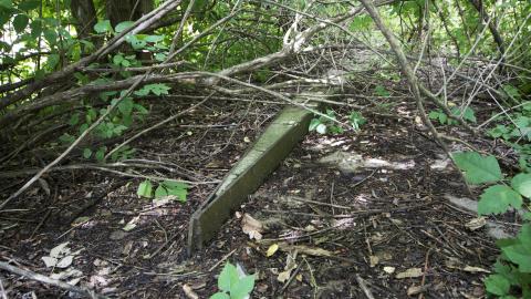 Amusement Park - July 2016 - 48.jpg