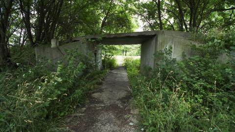 Amusement Park - July 2016 - 49.jpg