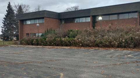 genuinely a little spooky - IMG_20211204_162716732_HDR.jpg