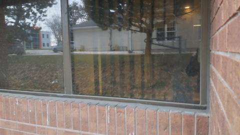 genuinely a little spooky - IMG_20211204_163126441_HDR.jpg