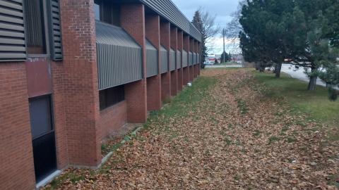 genuinely a little spooky - IMG_20211204_163040610_HDR.jpg